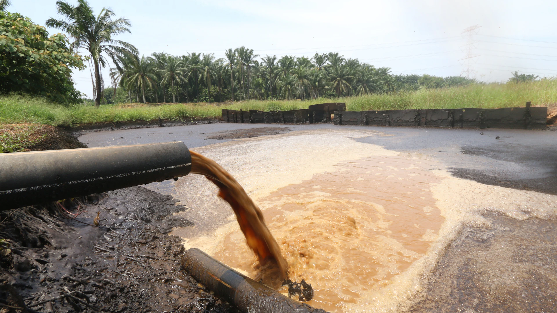 Non basta mettere «bio» davanti a «combustibile» per farne un carburante pulito: allo scarico c’è sempre CO2